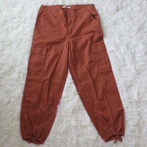 Levi's Rust Cargo Pants